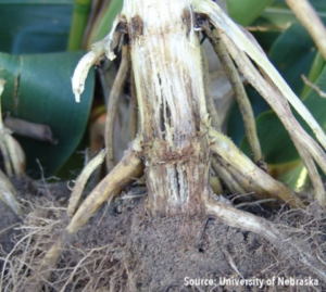 46ddad1fed2e4b42ac27d78093265af9