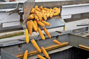 It's Harvest Time in Battle Creek blog post image